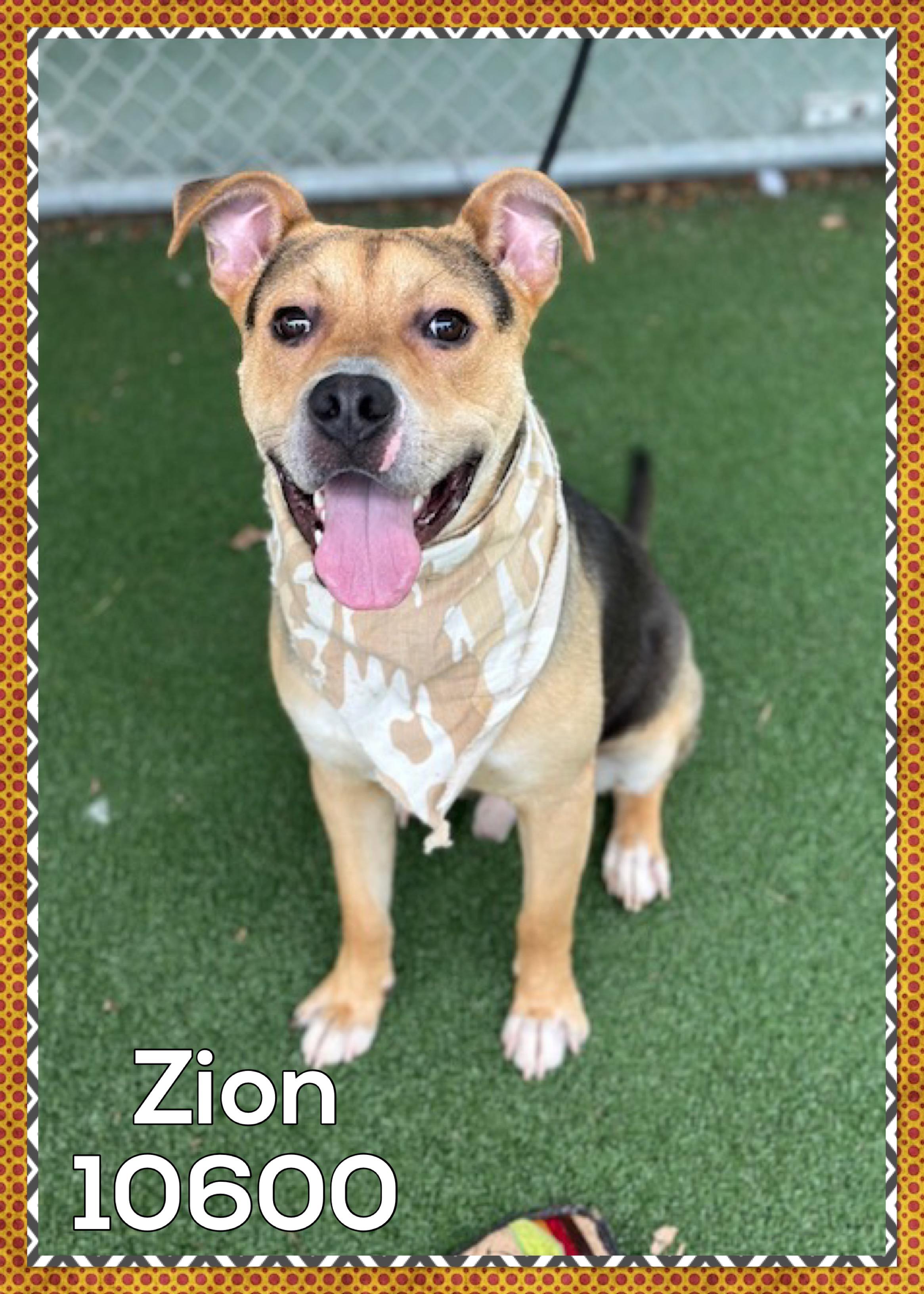 Zion