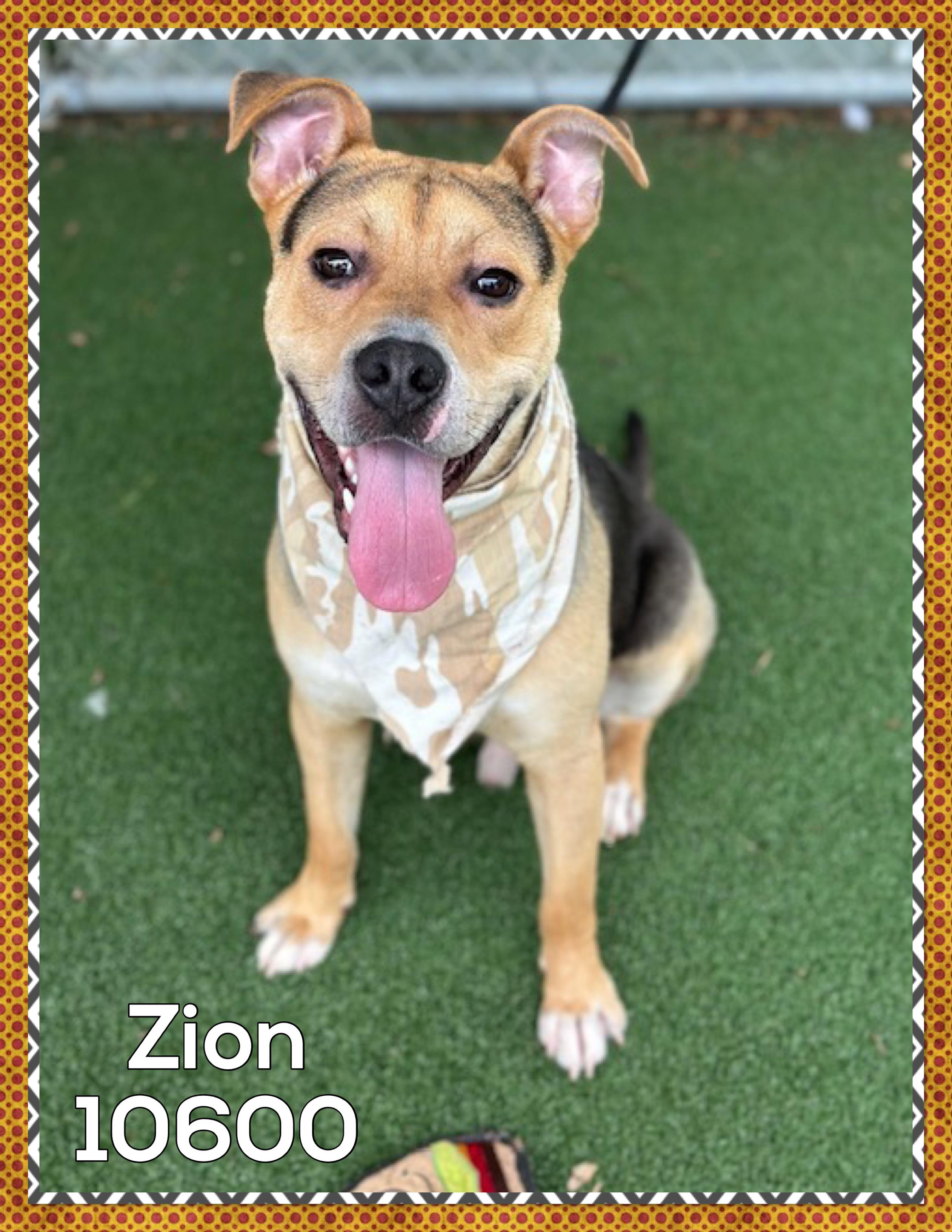 Zion
