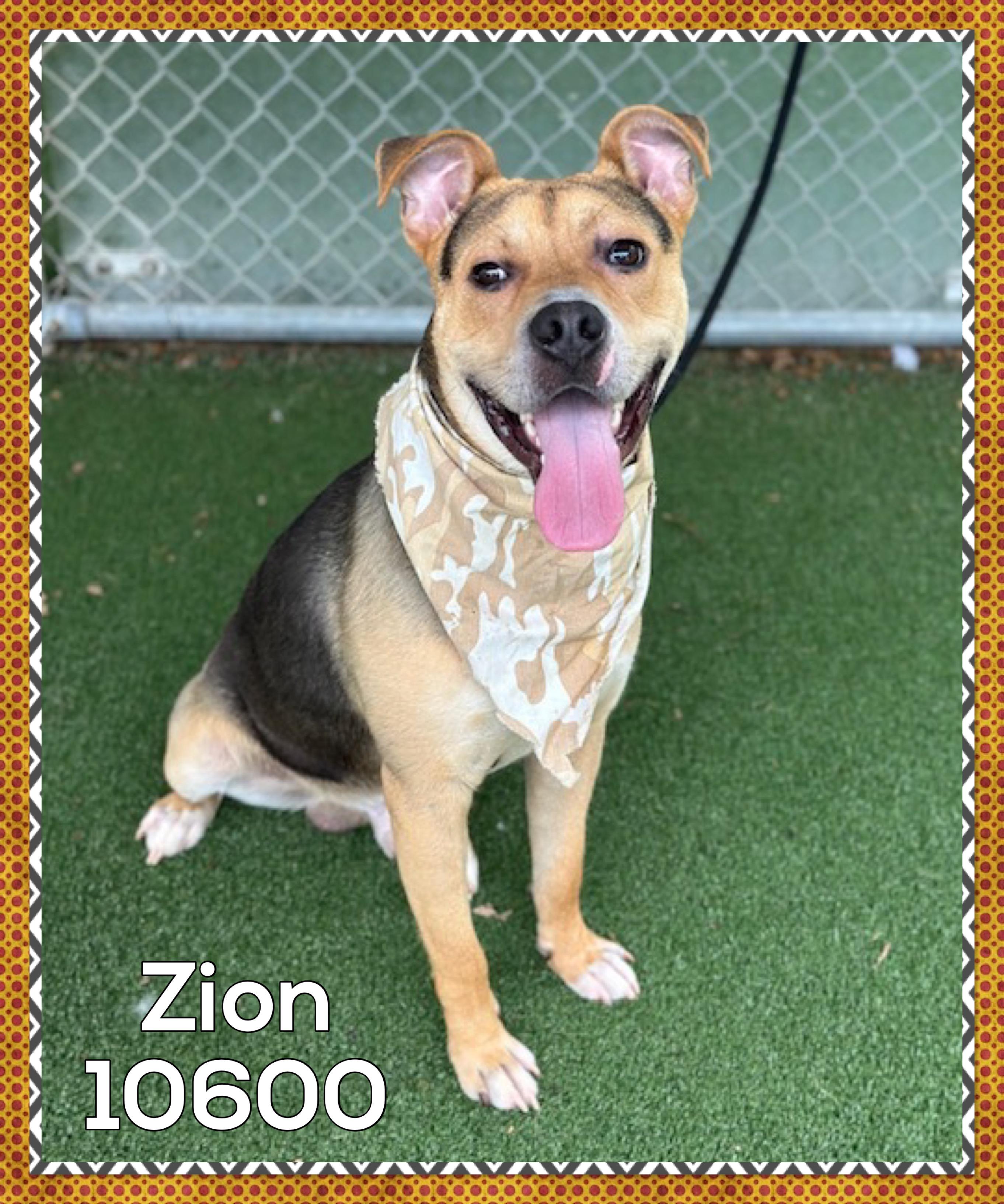 Zion