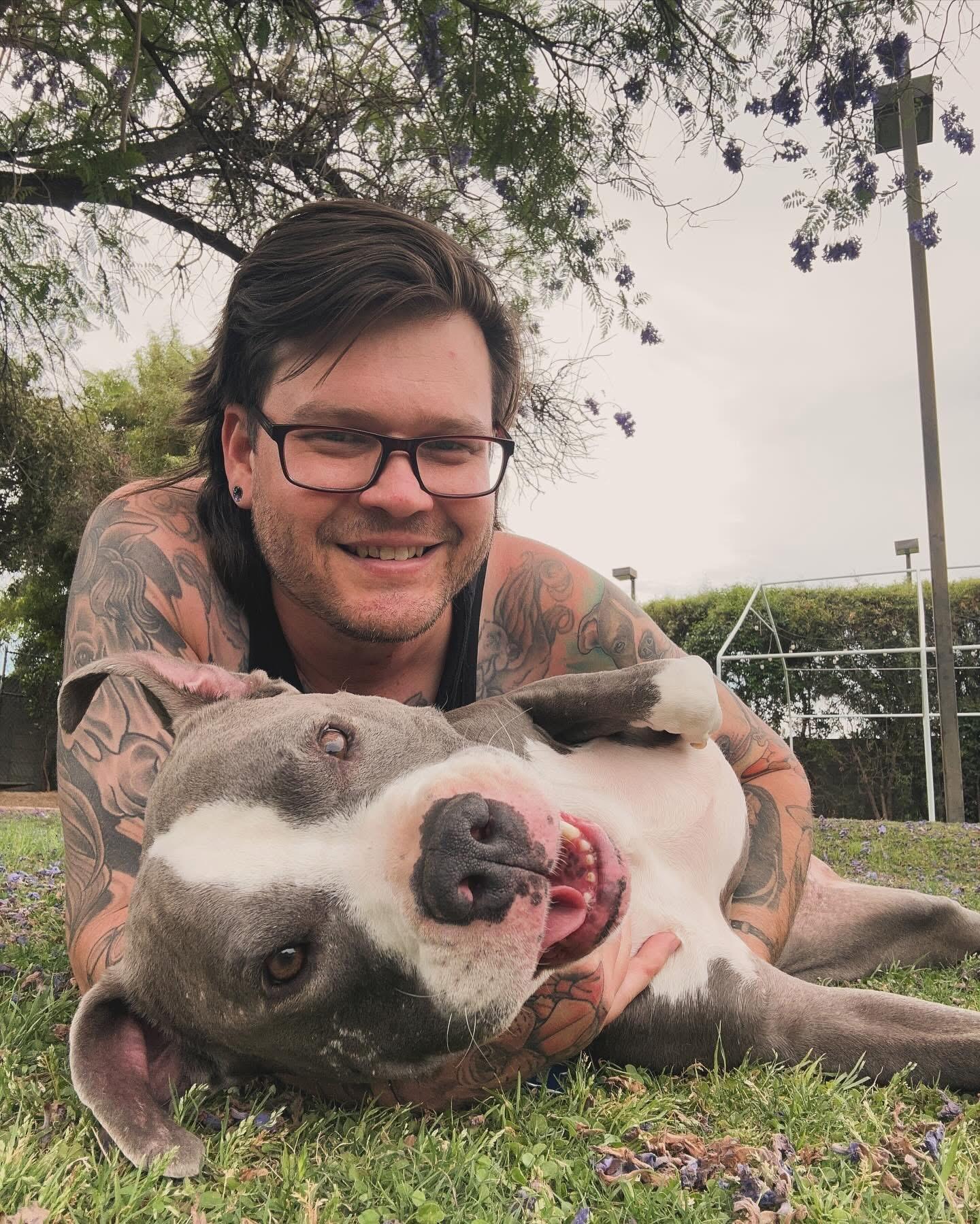 Breeze, a Adoptable Pit Bull Terrier in Peoria, AZ image 3/6