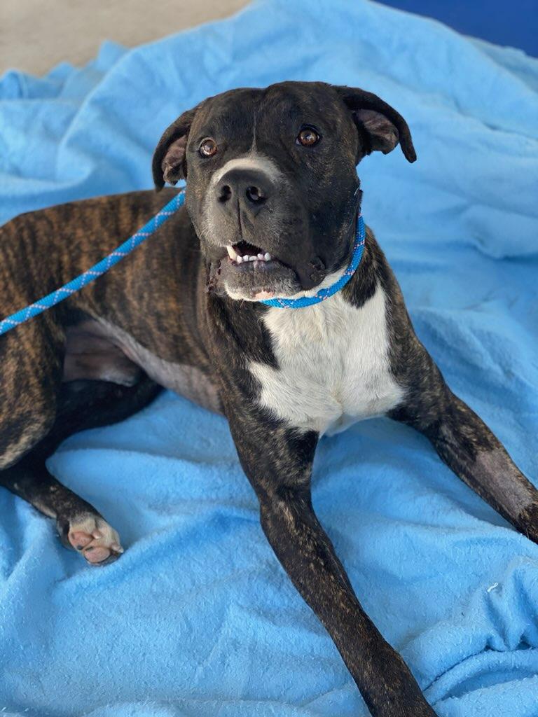 Zeus photo 3