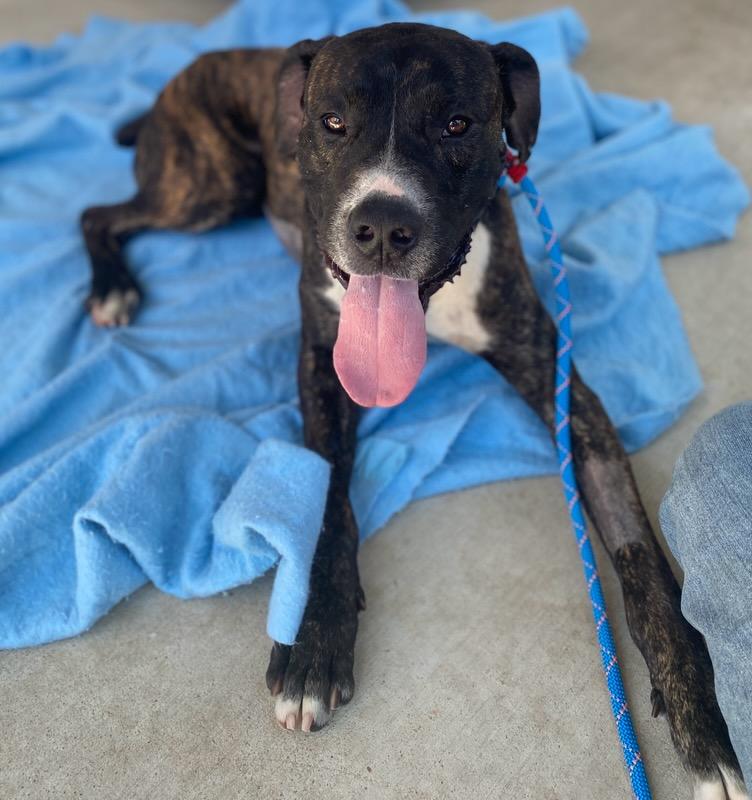 Zeus photo 6