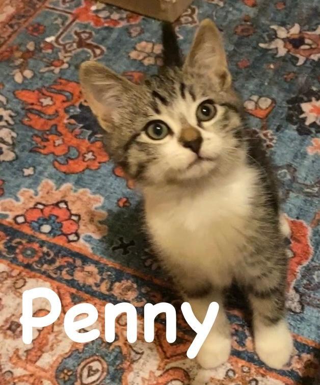 Penny