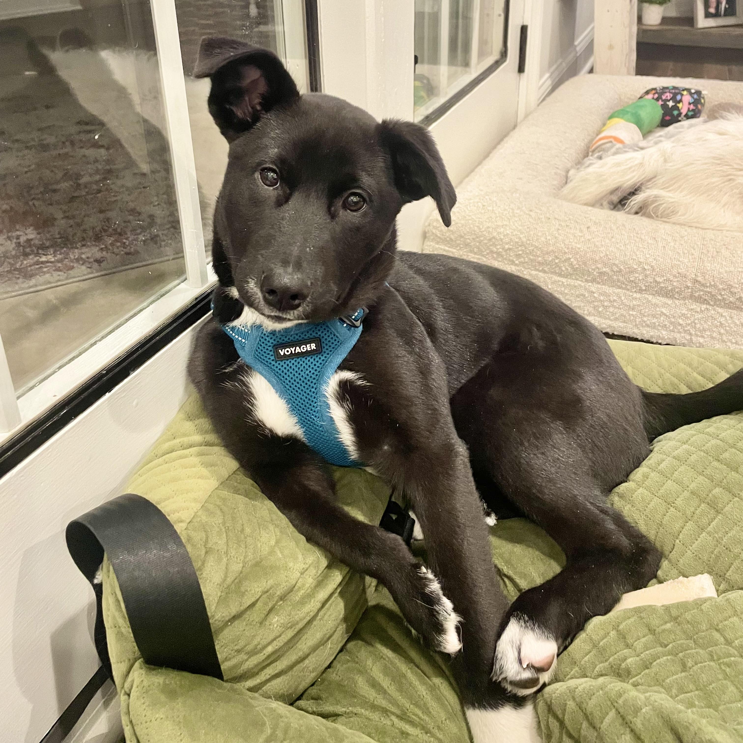 Pythagoras — thumbnail 5