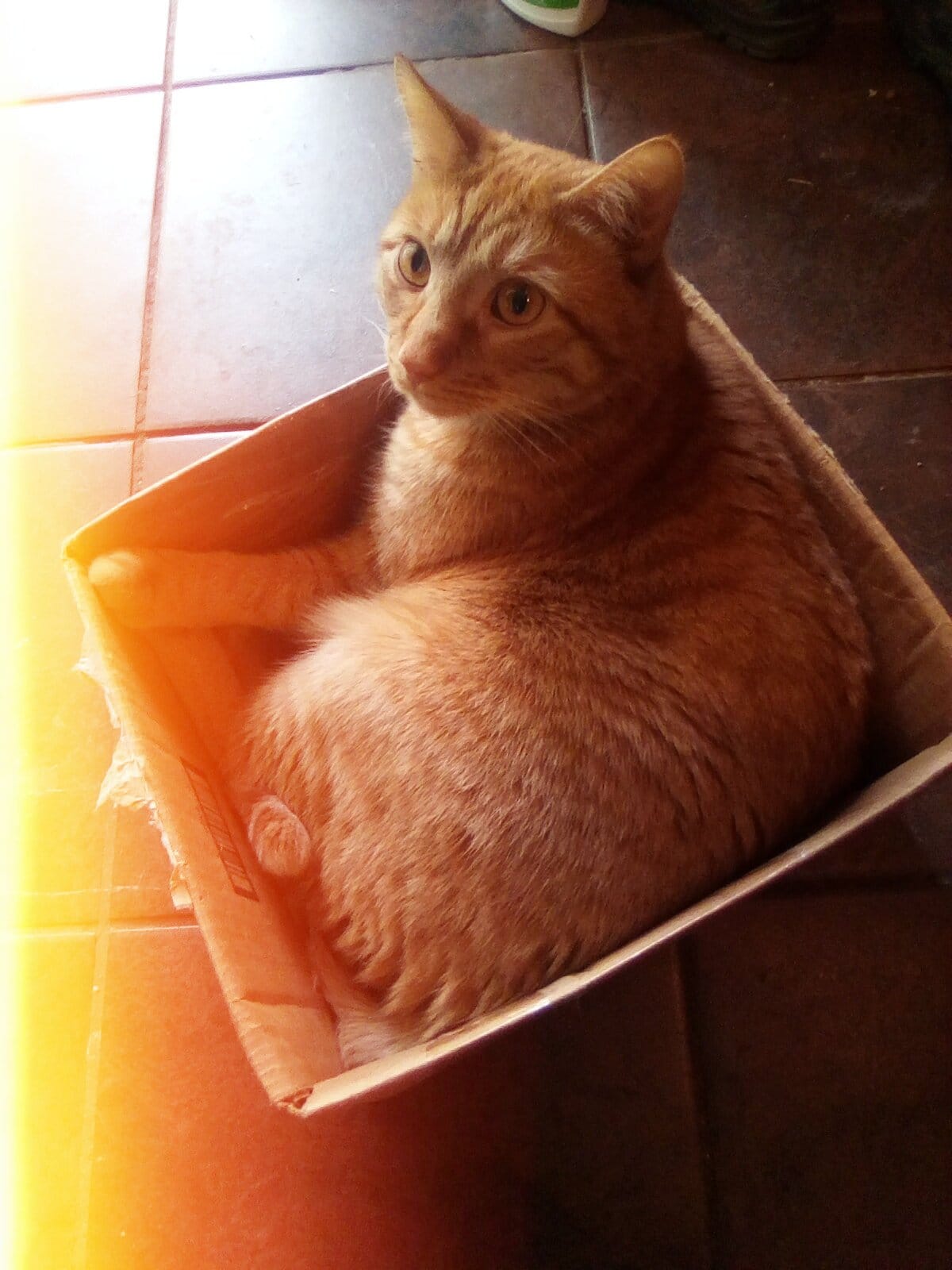 Postage