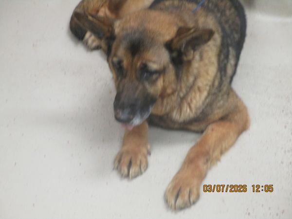 Bea(bay-Ah) (834) — thumbnail 2