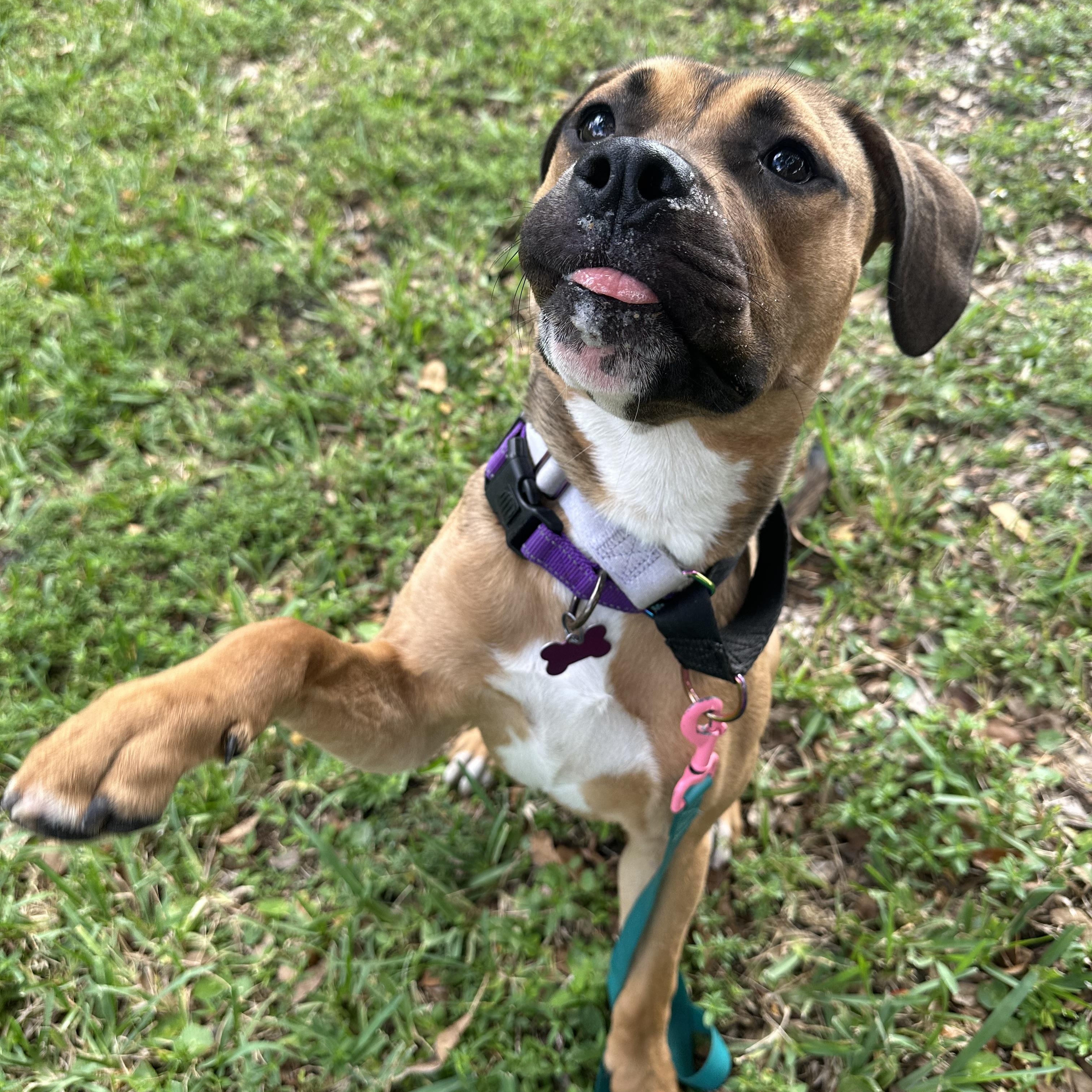 Darla photo 5