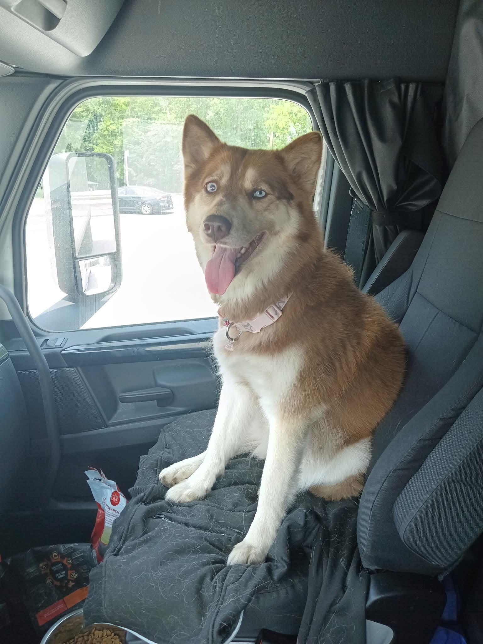 Nova