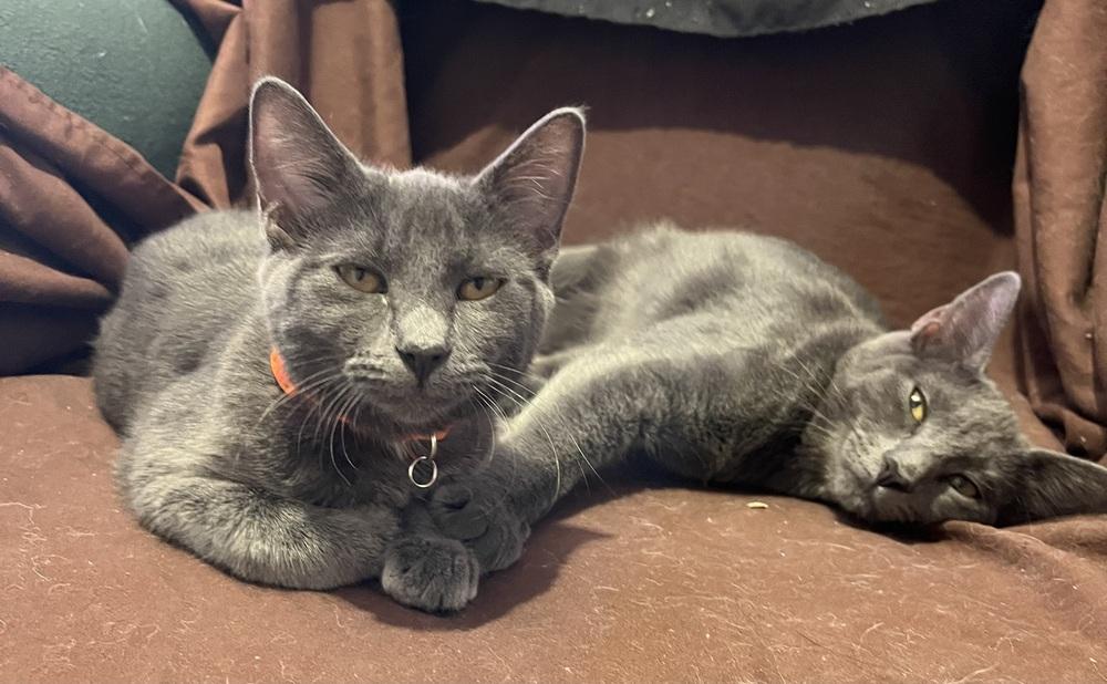 Spellbound — thumbnail 2