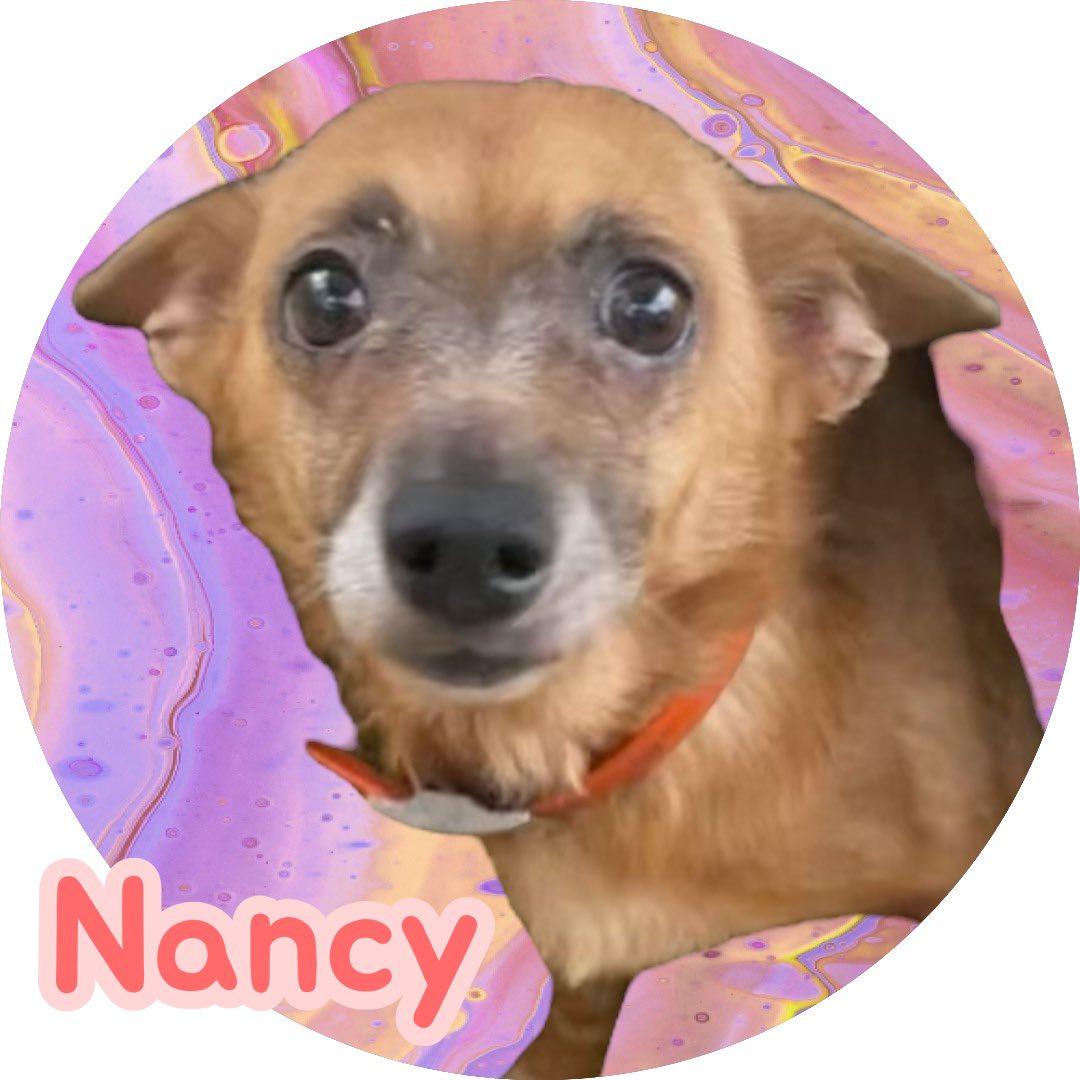 Nancy