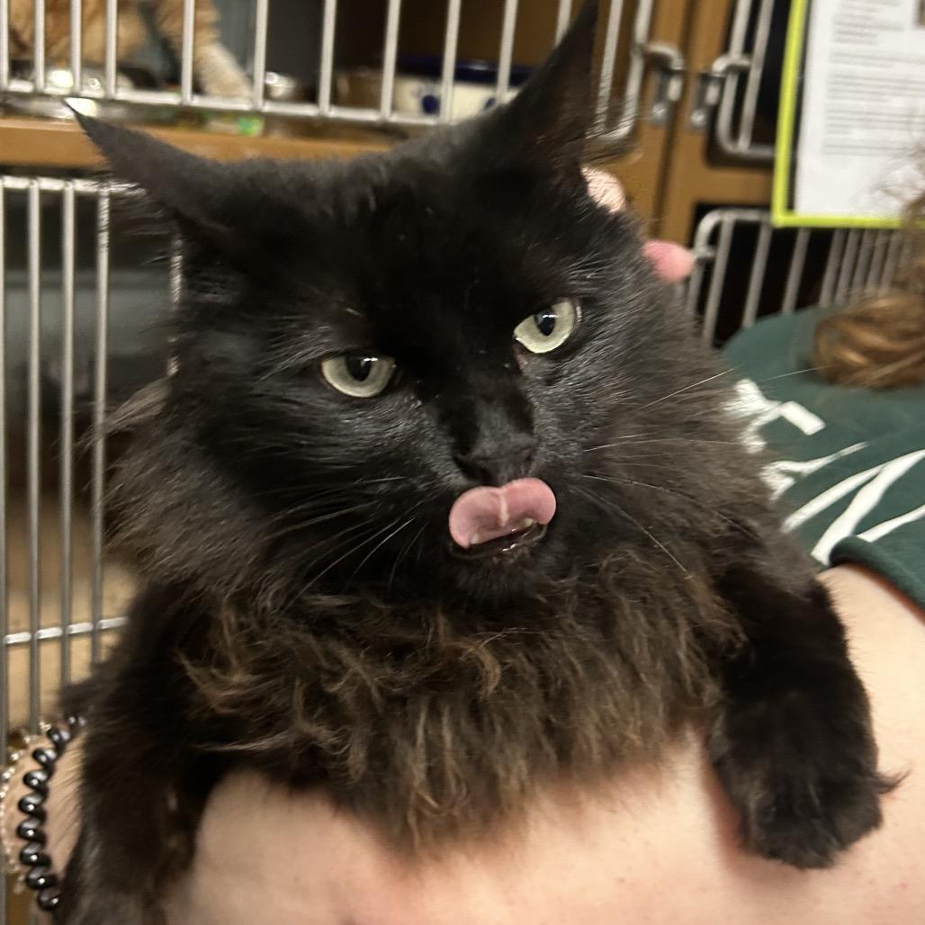 CURACAO — thumbnail 2