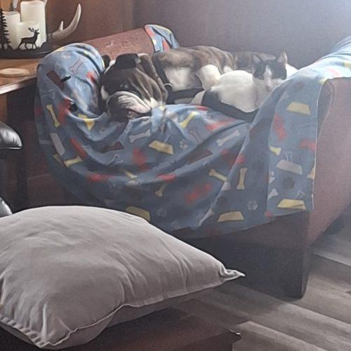 Spiderman thumbnail 3