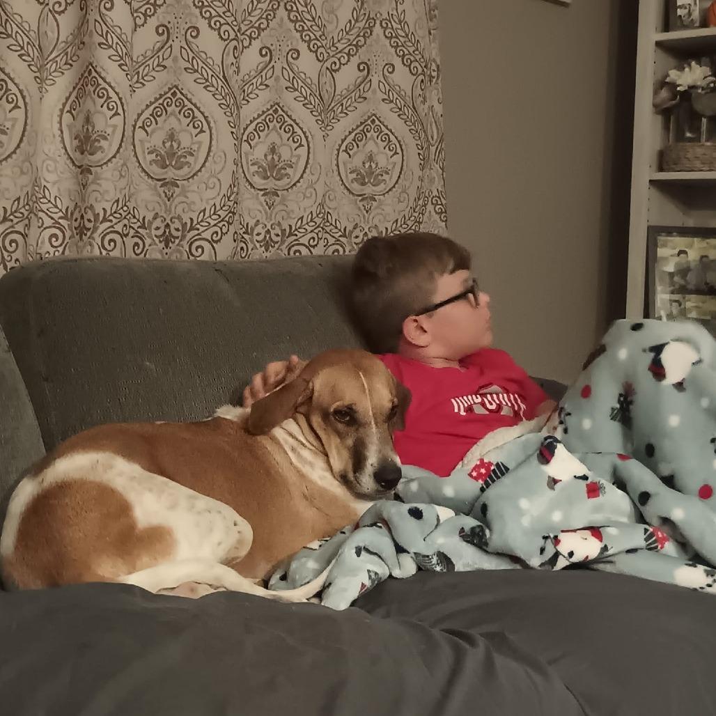 Enlarge Pinta, a Adoptable Mixed Breed in Englewood, FL image 6/6