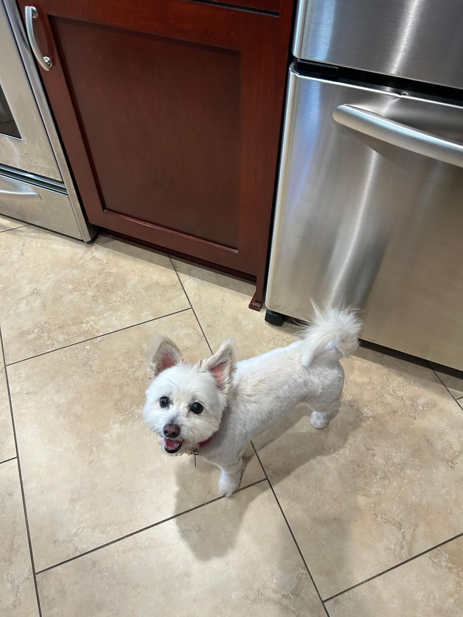 Sophie