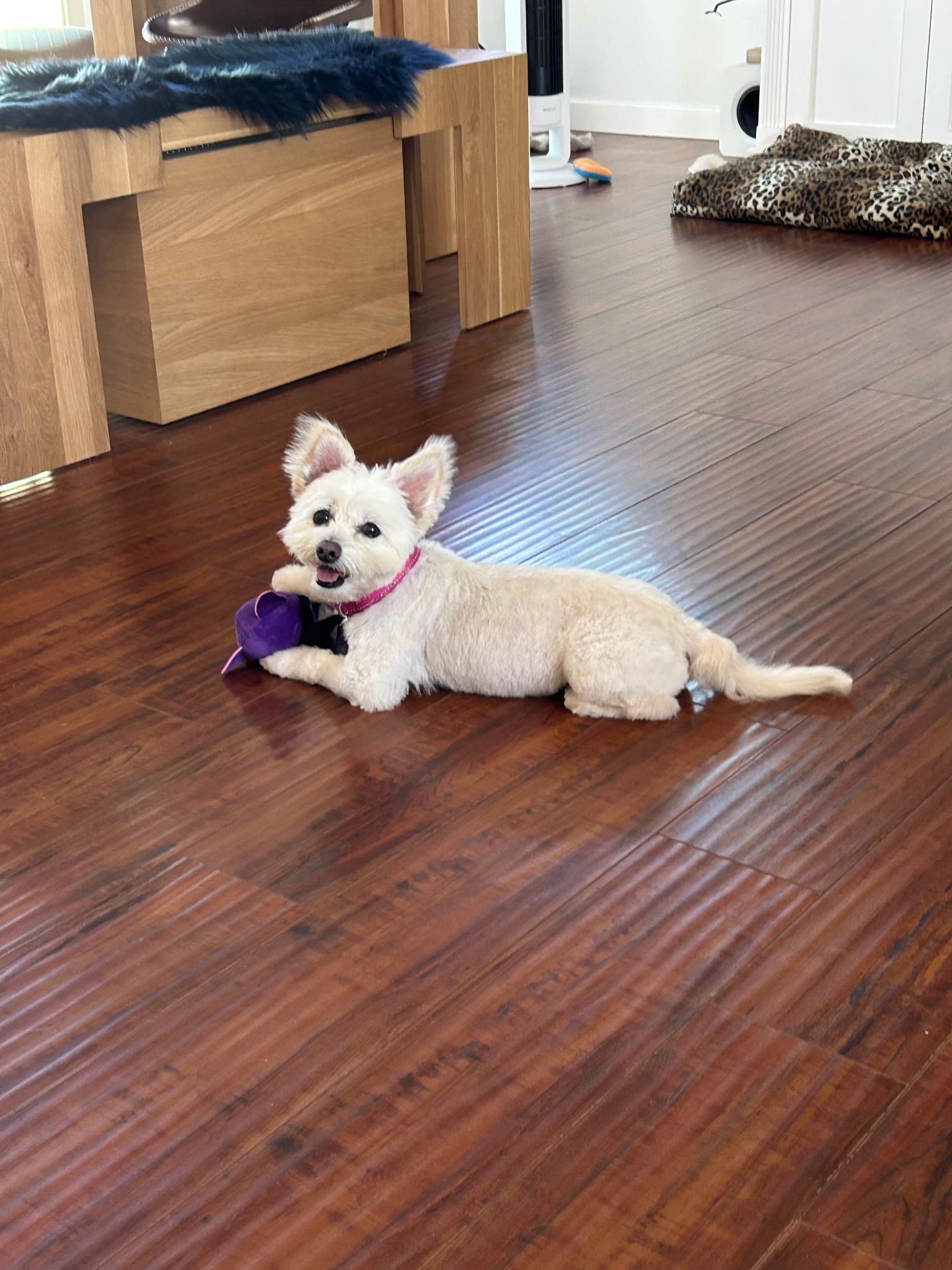 Sophie