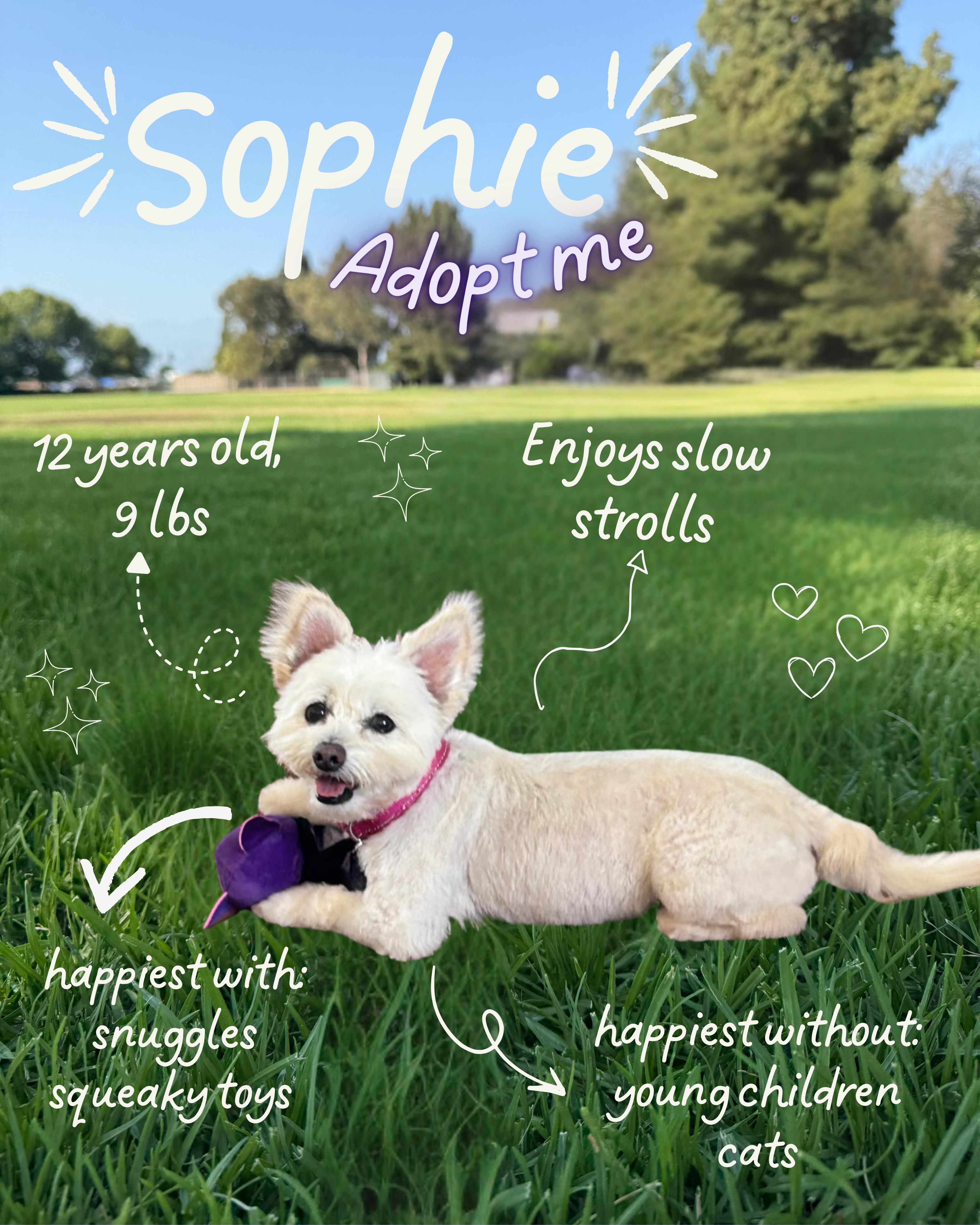 Sophie