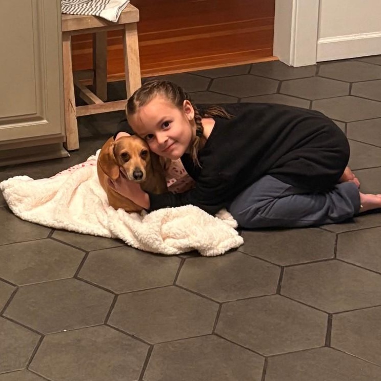 Oscar, a Adoptable Dachshund in Portland, OR image 4/5