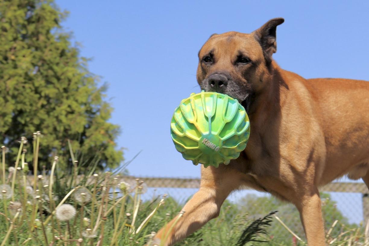 Mr Butters photo 3