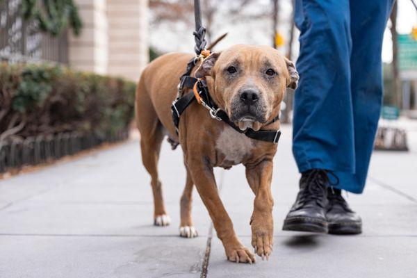 Gwendolyn thumbnail 3