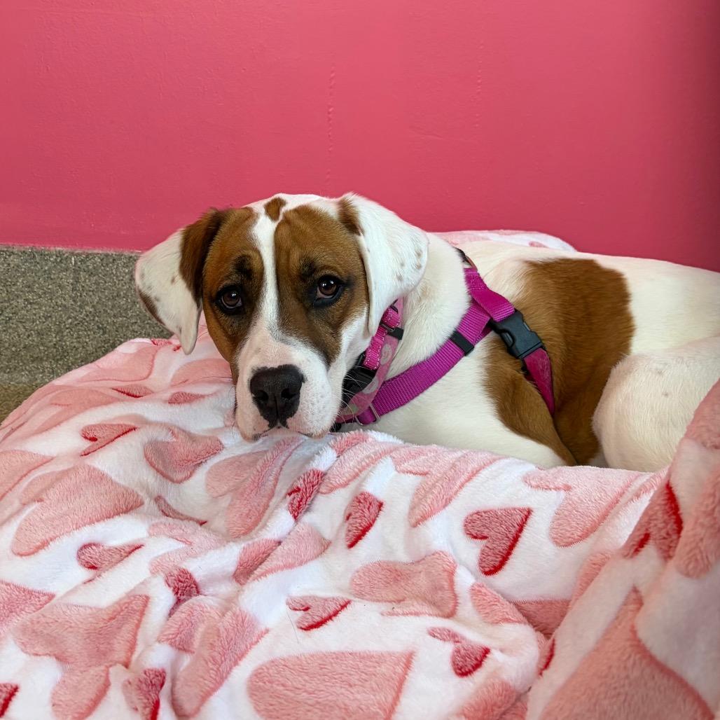 Faith Baby — thumbnail 4