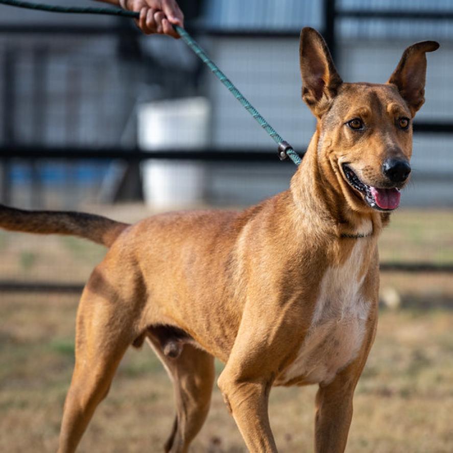 Aries JuM* — thumbnail 2