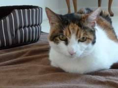 Gigi photo 2