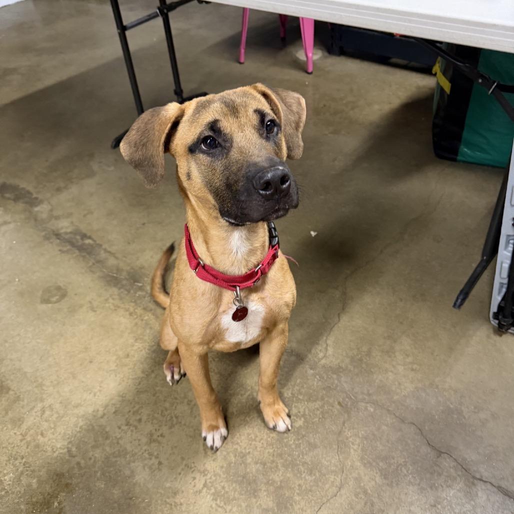 Scaredy Cat Stewie thumbnail 2