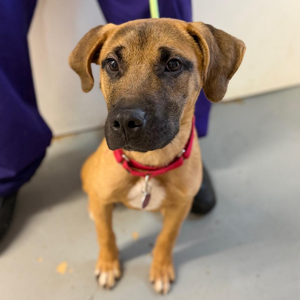 Scaredy Cat Stewie thumbnail 4