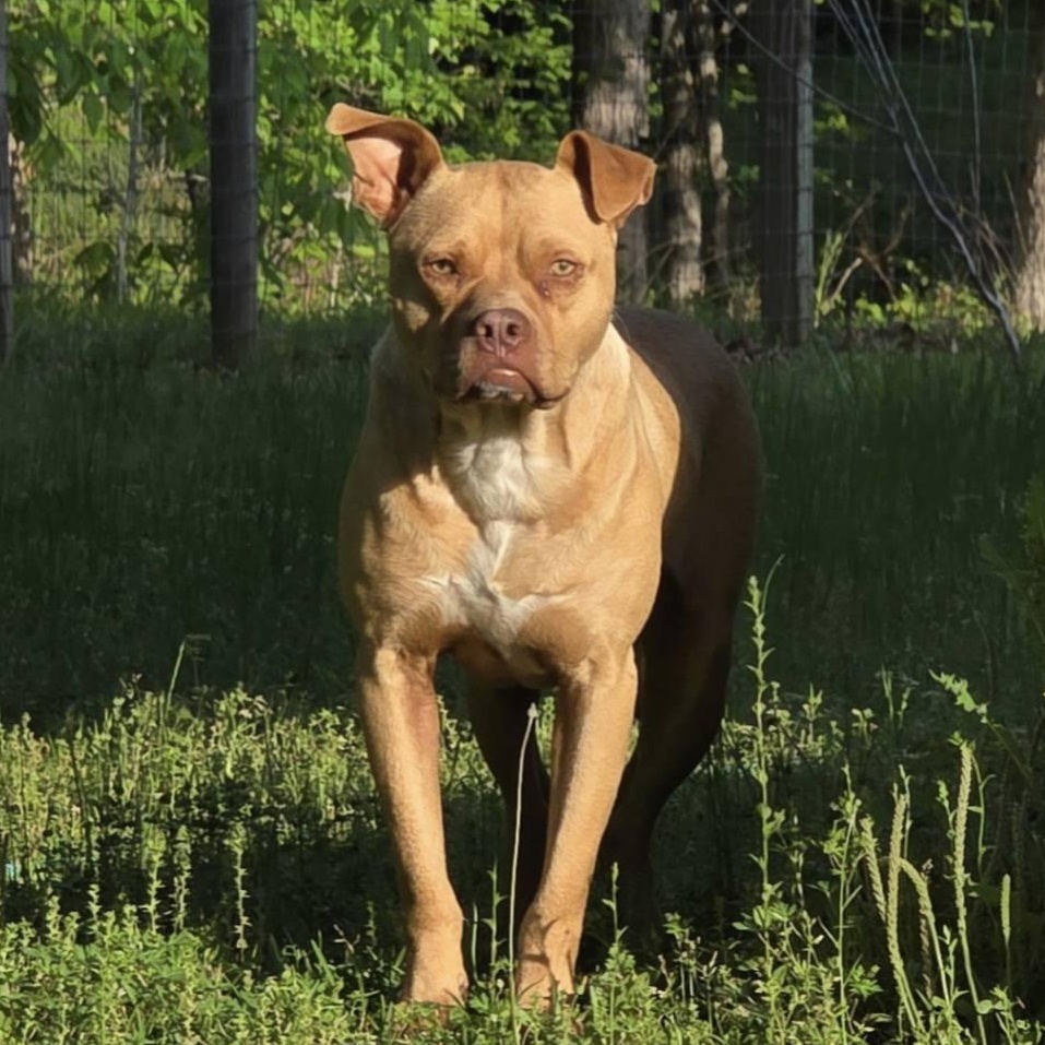 Oscar