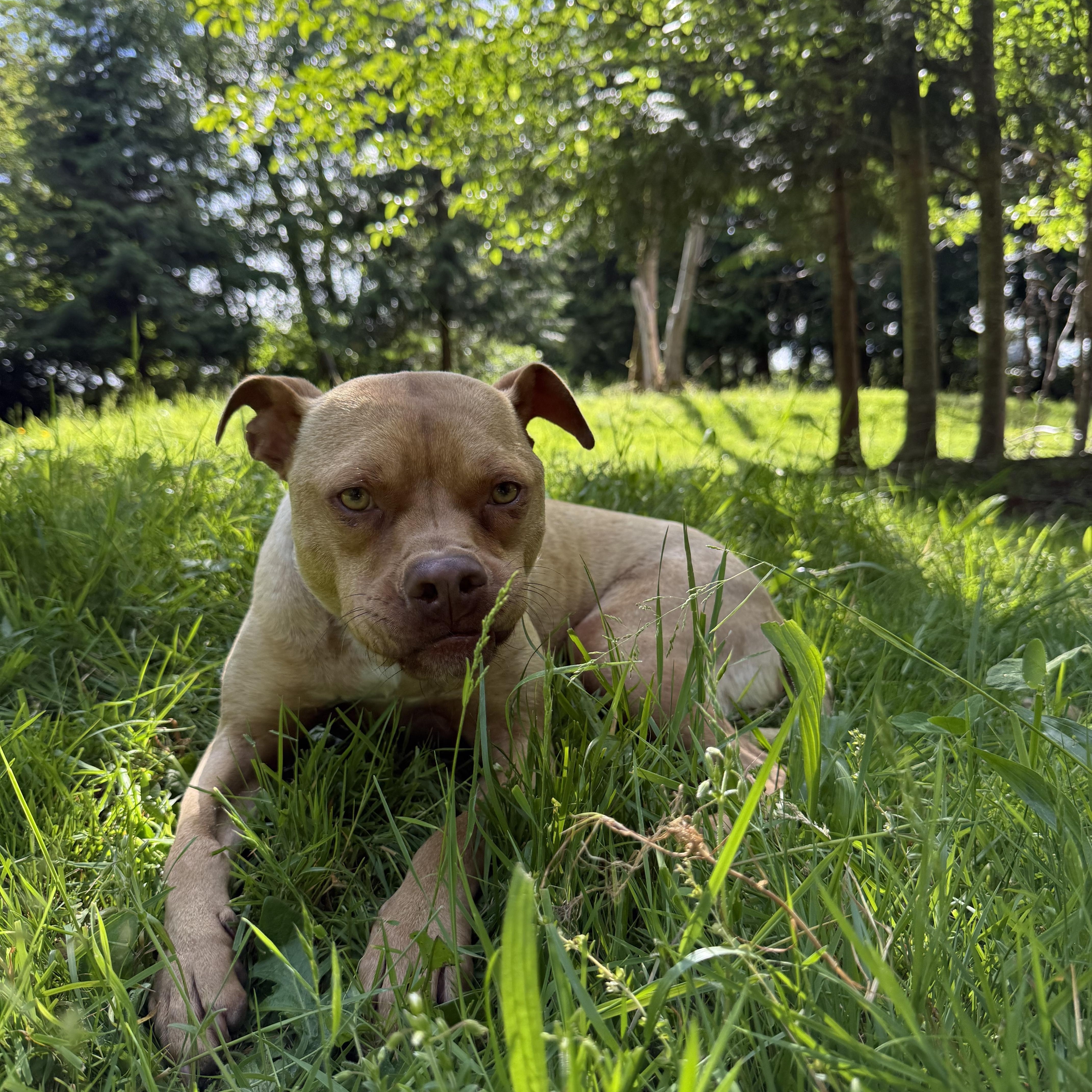 Oscar