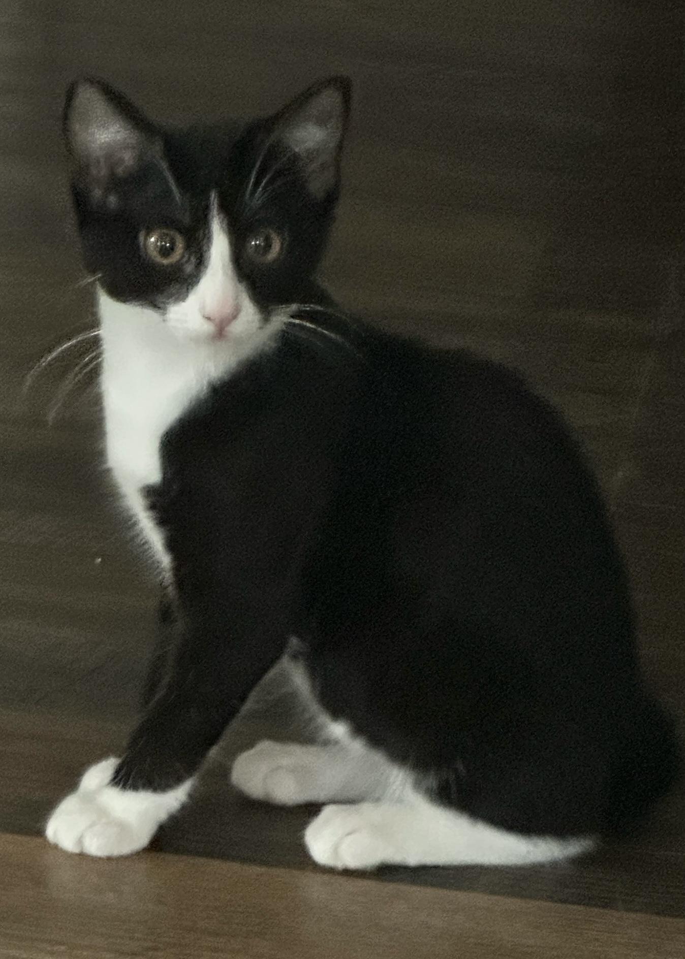 Kuro