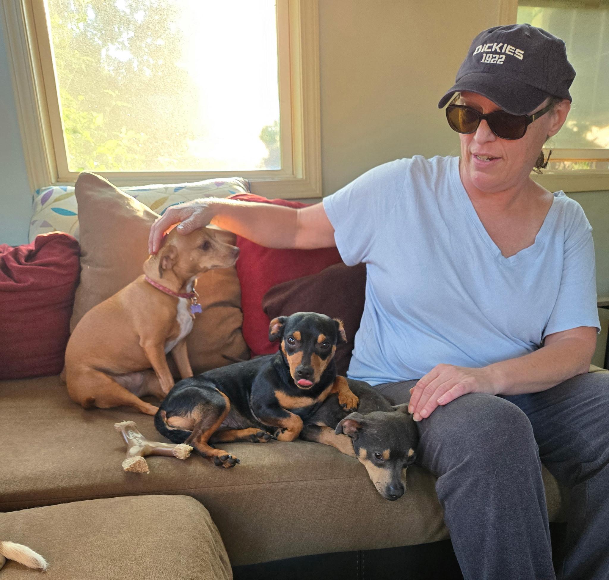 Mary and Moe - BONDED PAIR, a Adoptable mixed breed in Jackson, GA image 2/5