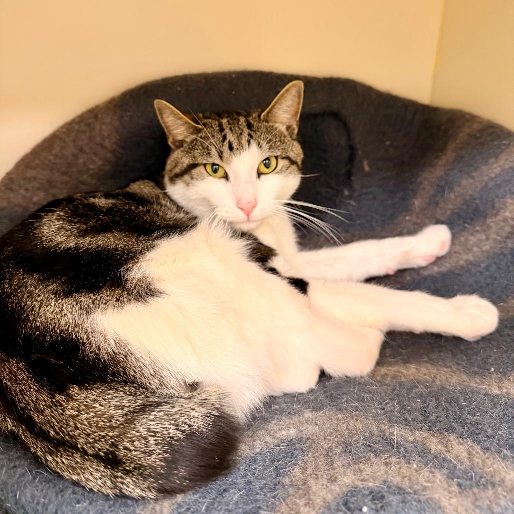 Bobby — thumbnail 5