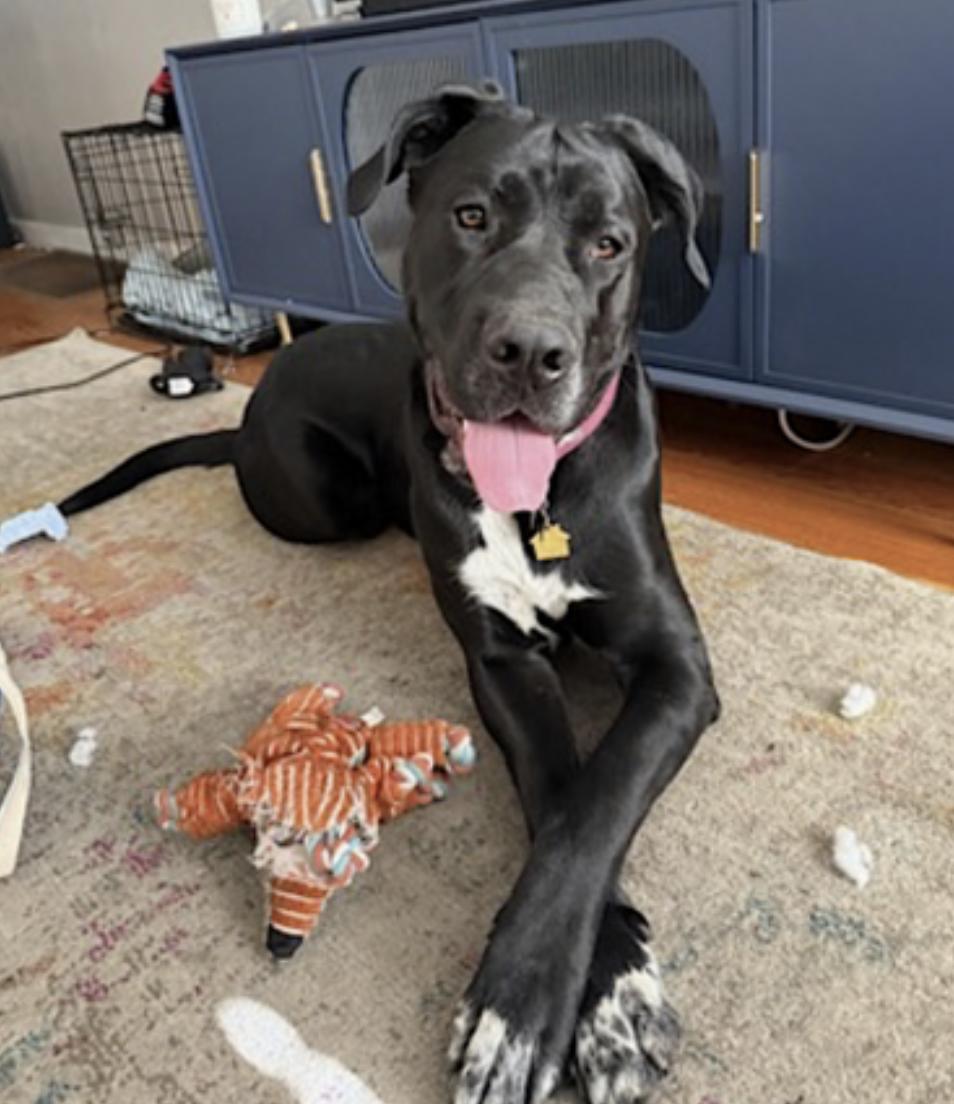 Storm — thumbnail 4