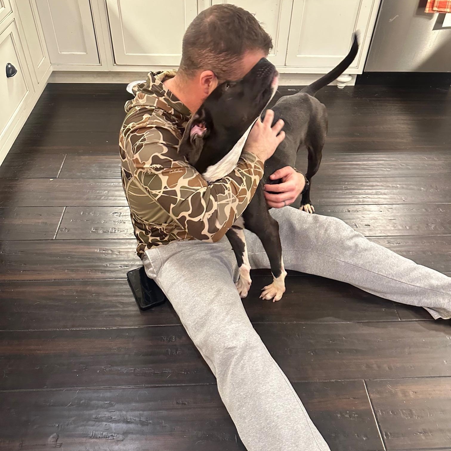 Enlarge Chelsie, a ADOPTABLE Mixed Breed in St Marys, OH image 3/6