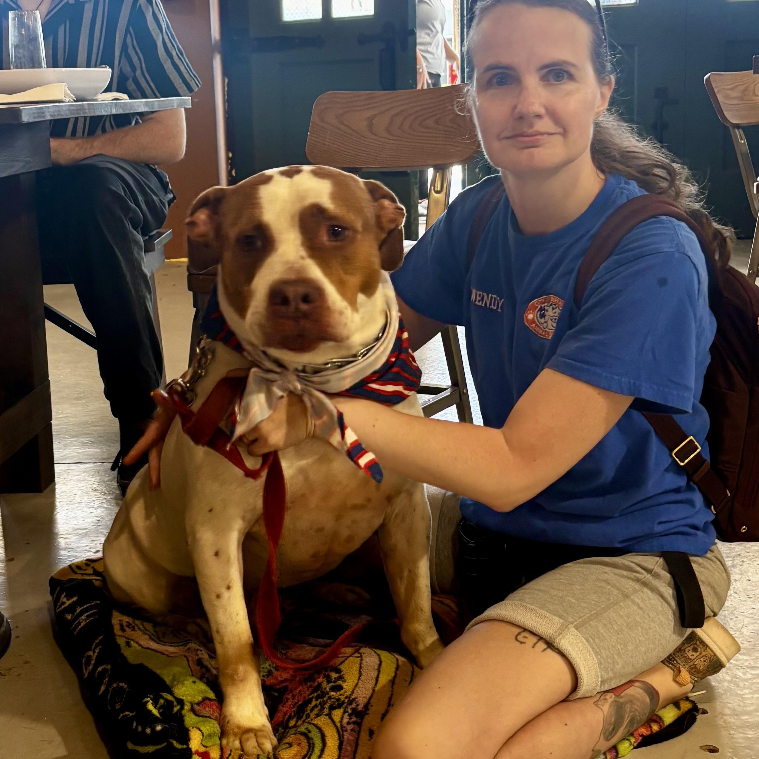 Chase, a ADOPTABLE Pit Bull Terrier in Buffalo, NY image 5/5