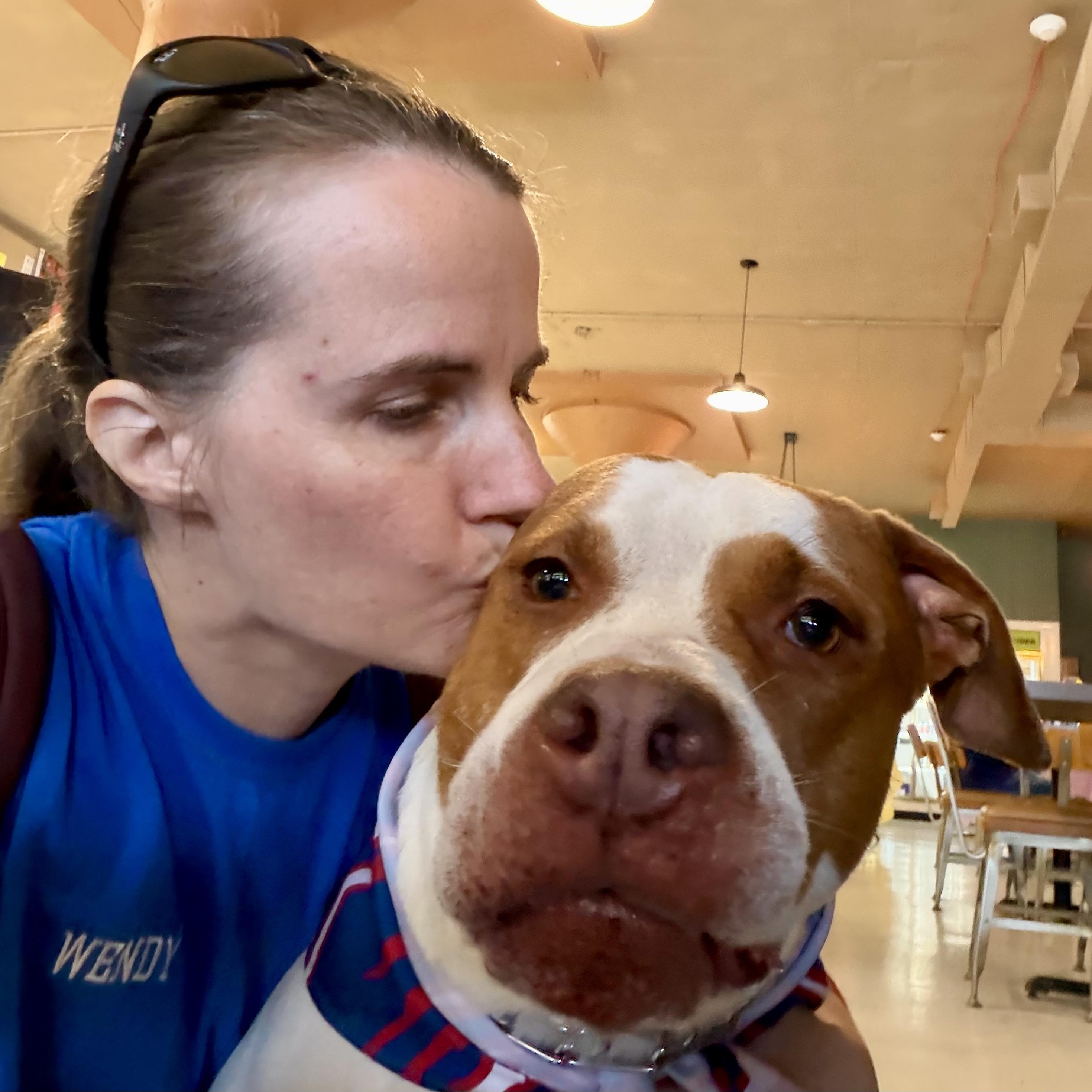 Chase, a ADOPTABLE Pit Bull Terrier in Buffalo, NY image 2/5
