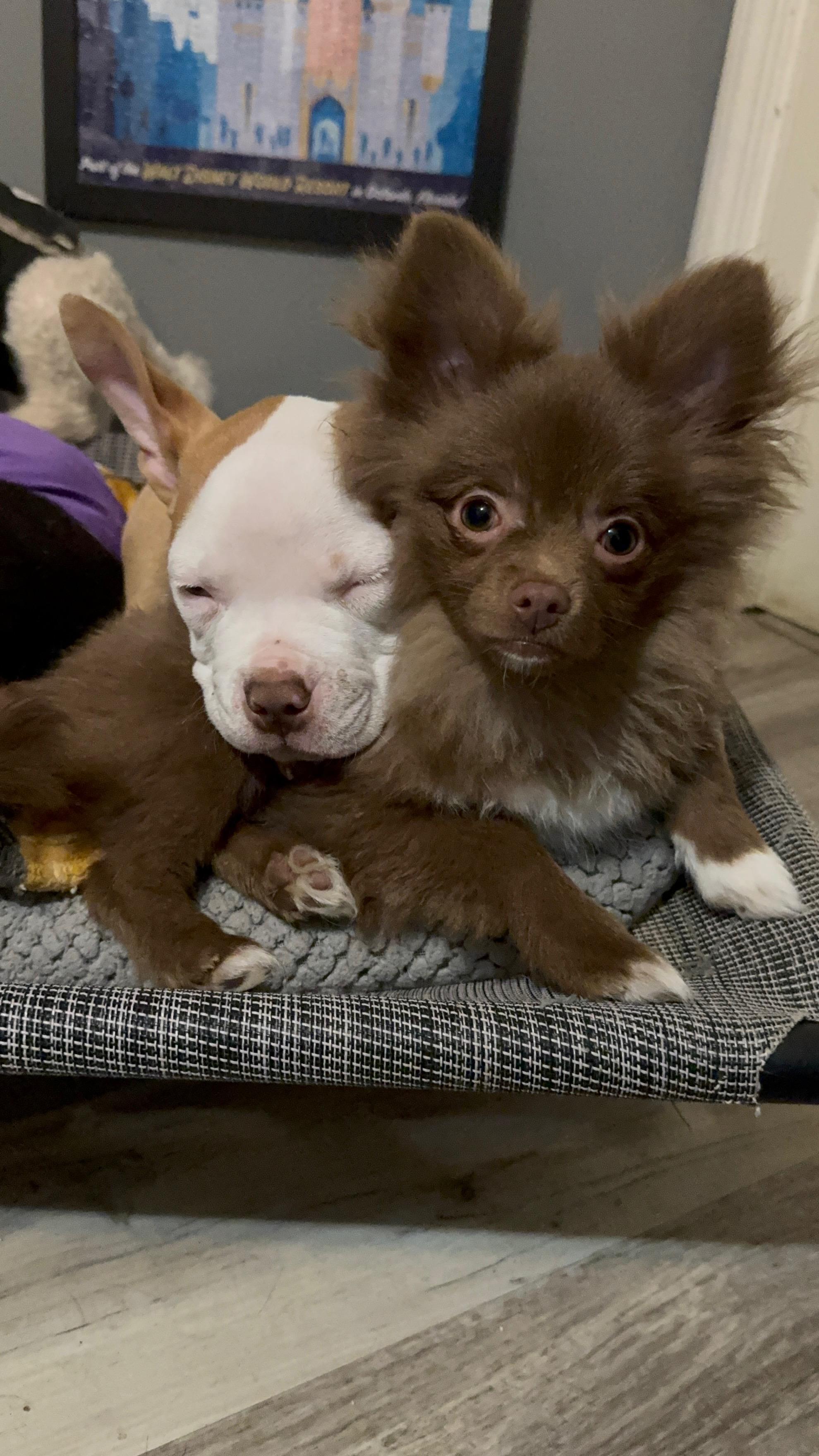 Ezekiel! Precious angel! — thumbnail 2