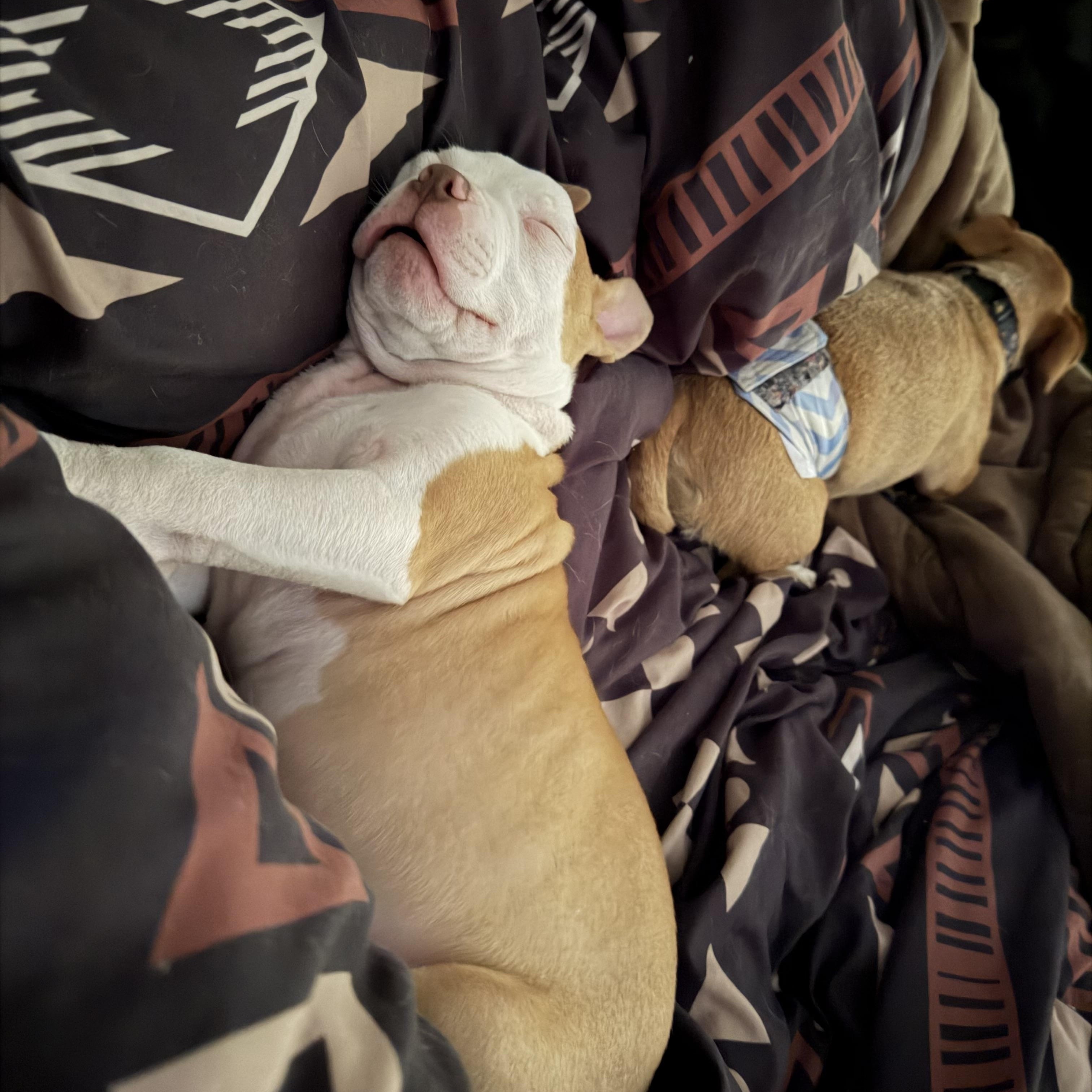 Ezekiel! Precious angel! — thumbnail 3