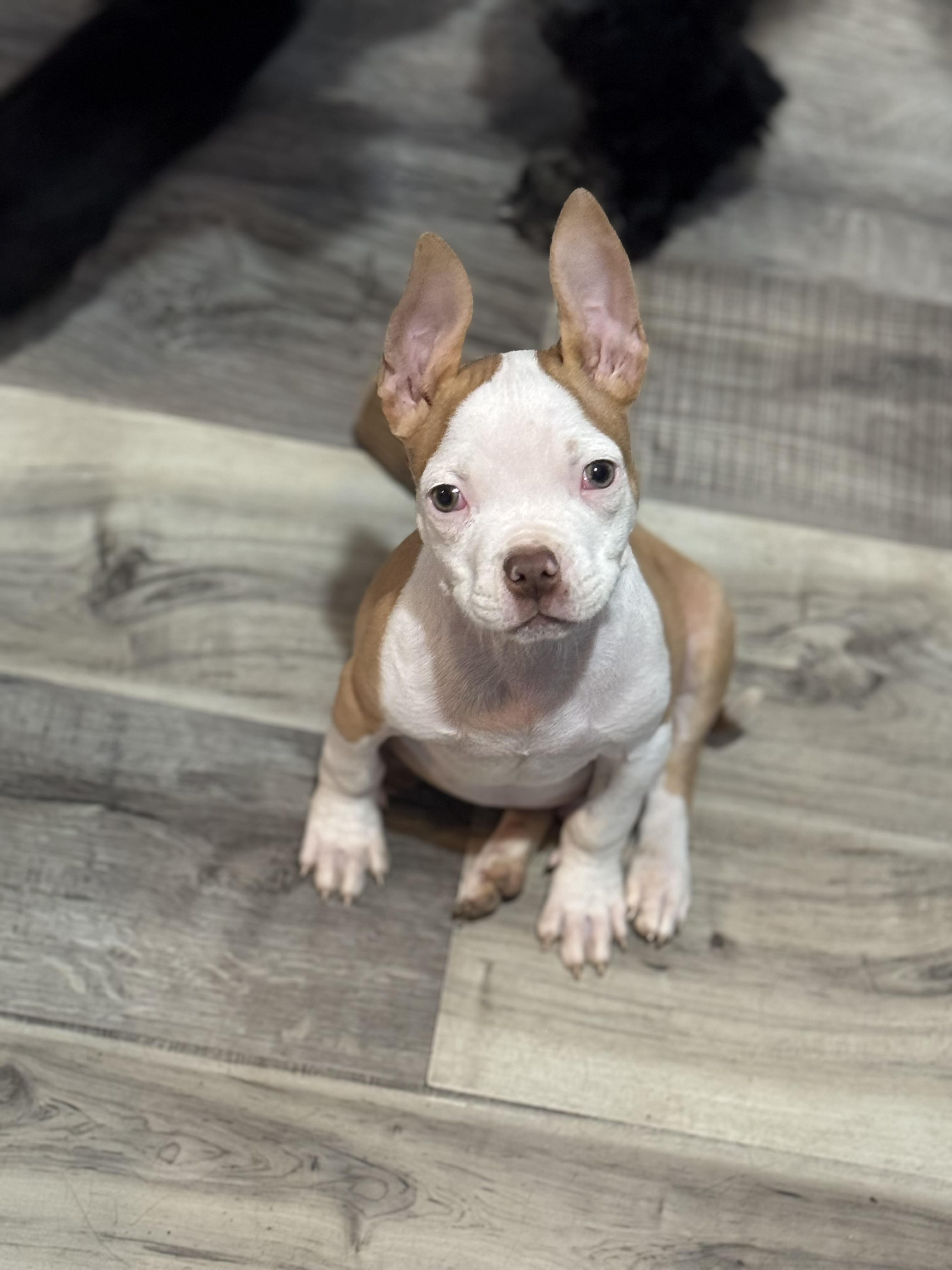 Ezekiel! Precious angel! — thumbnail 4