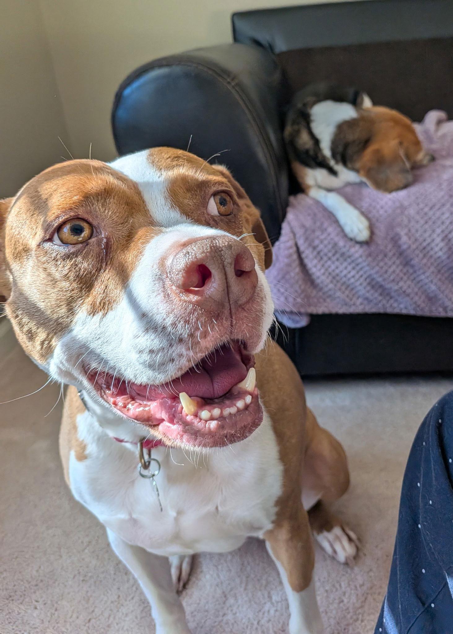 Emma — thumbnail 2