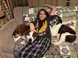 Enlarge Penny, a ADOPTABLE mixed breed in Manhasset, NY image 3/6