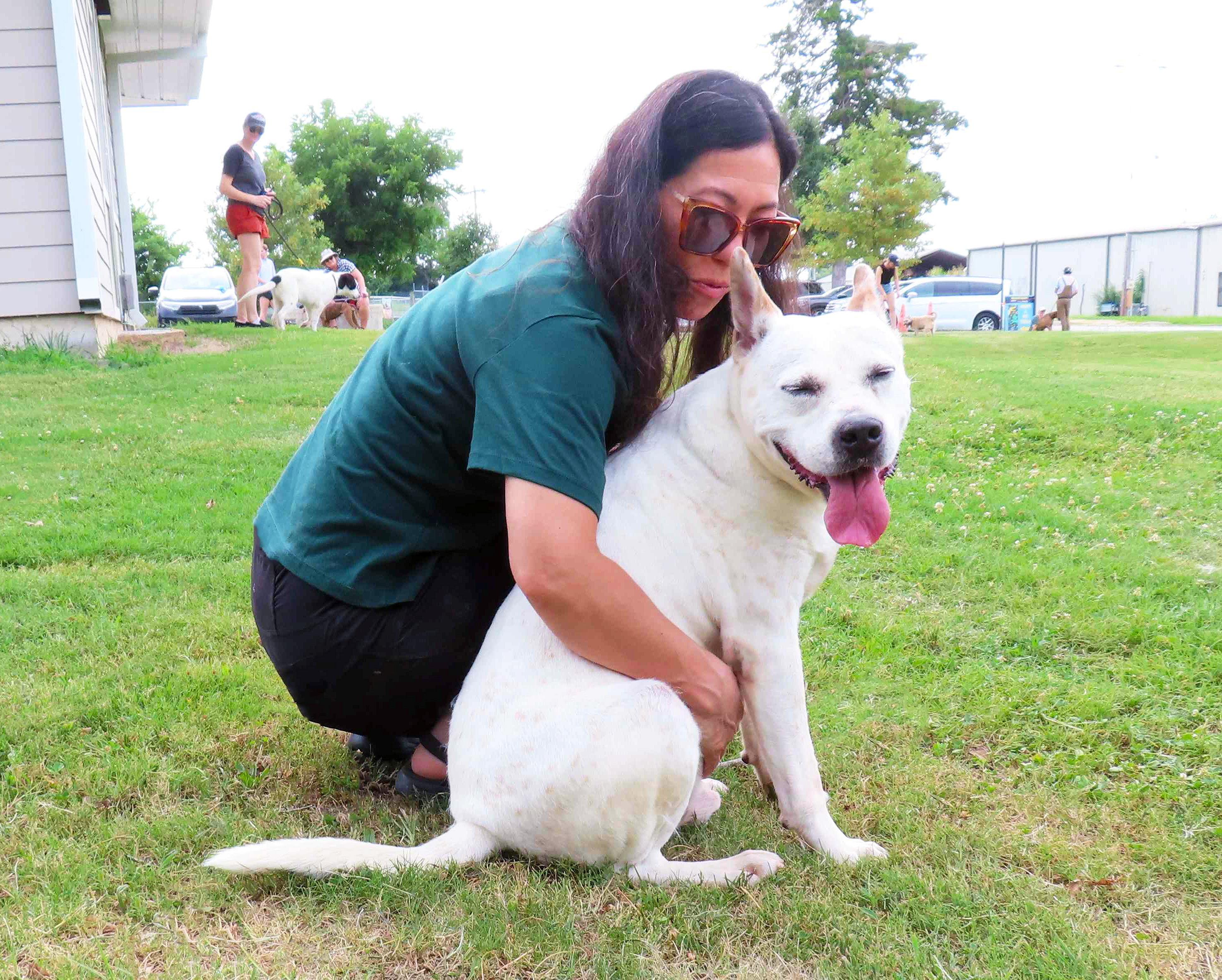 Brodie 26C-17A, a ADOPTABLE mixed breed in Rogers, AR image 5/5