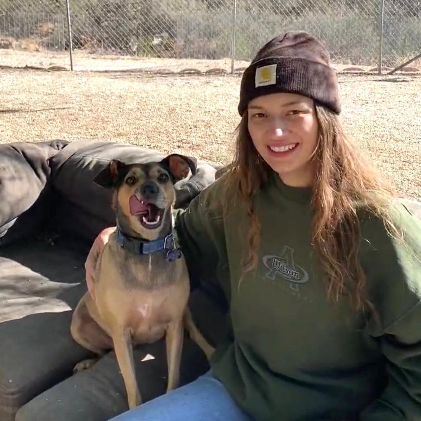 Enlarge Holly, a Adoptable mixed breed in Agua Dulce, CA image 2/6