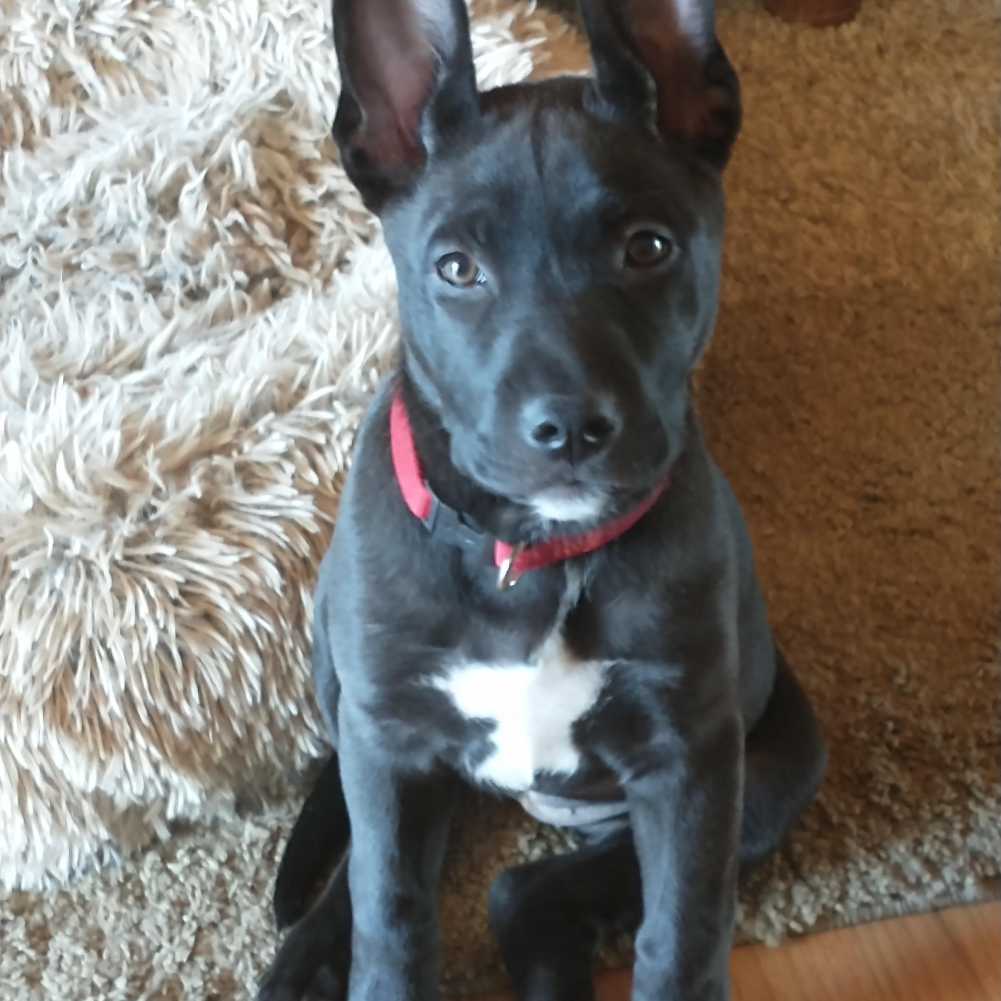 Winnie