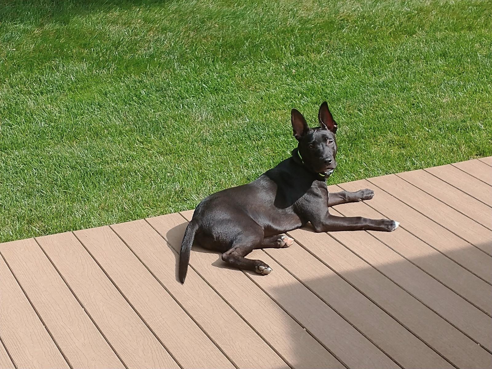 Winnie
