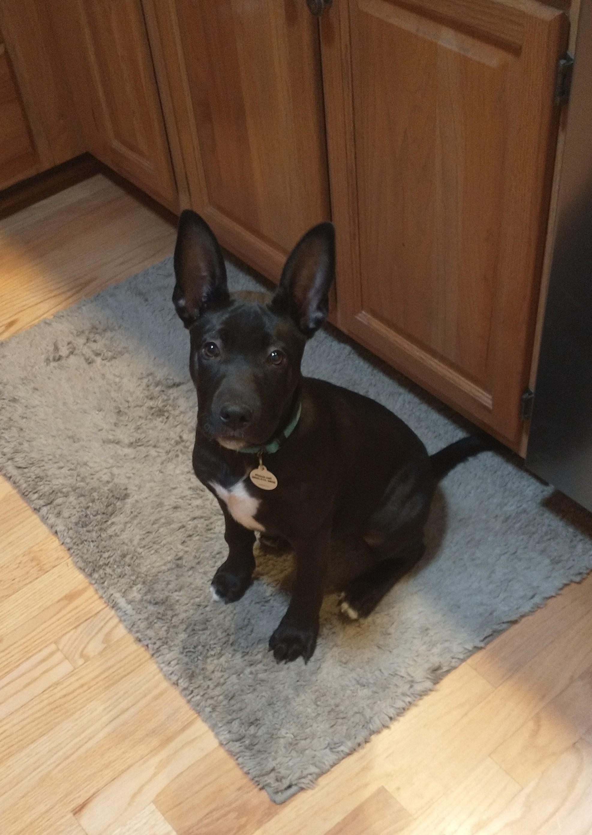 Winnie