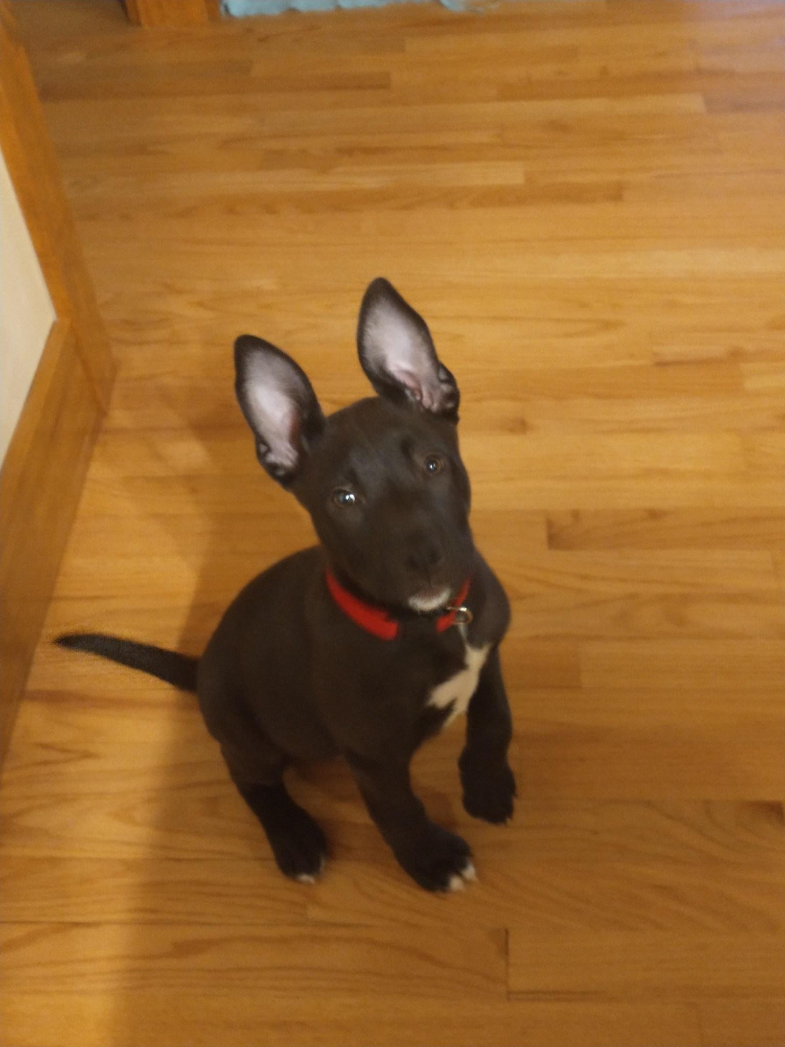 Winnie