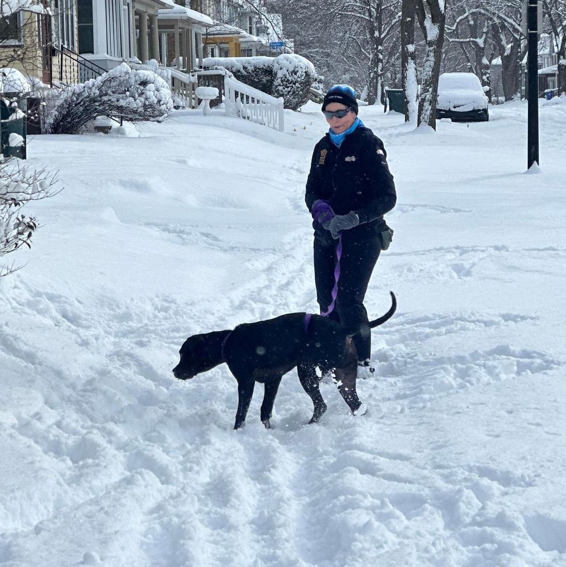 Enlarge Myles: Adopt or Forever Foster, a Adoptable mixed breed in Rochester, NY image 3/6