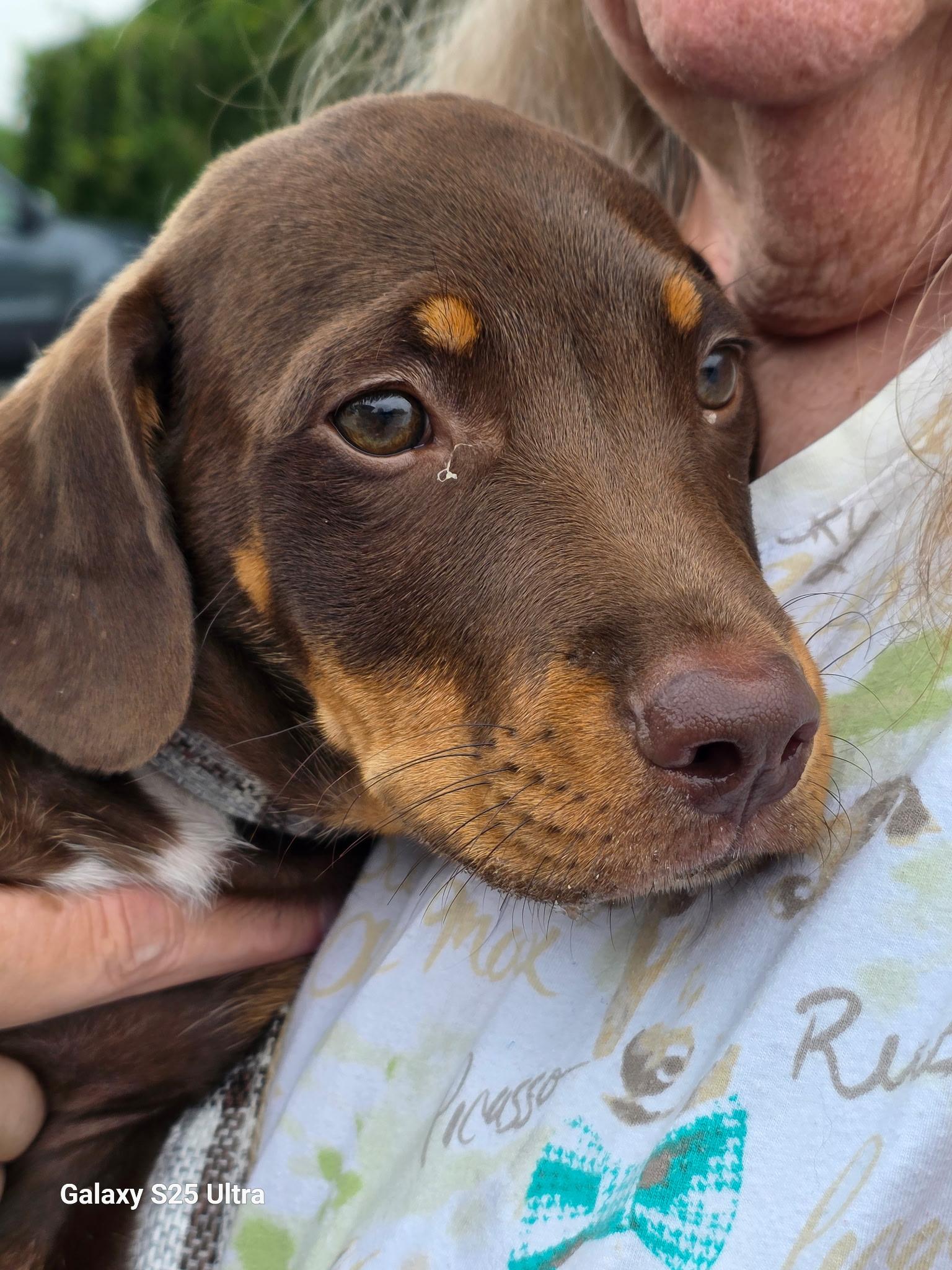 Charlie